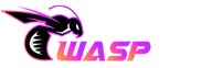 wasp999 ตัวจริงเรื่องสล็อตและเกมยิงปลา ทำกำไรได้จริง